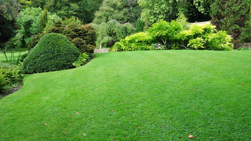 Commercial Landscape Maintenance in Ventura County, CA